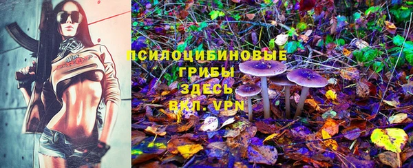 прущая мука Волоколамск