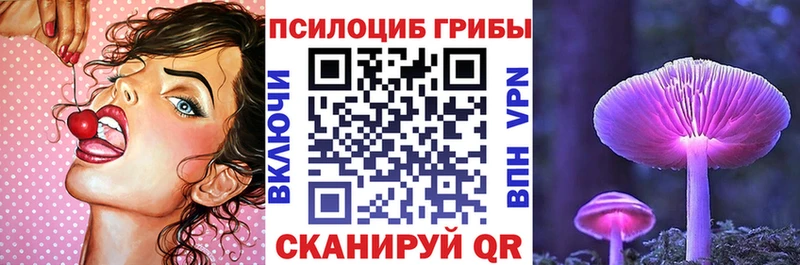 как найти закладки  Ишим  Псилоцибиновые грибы MAGIC MUSHROOMS 